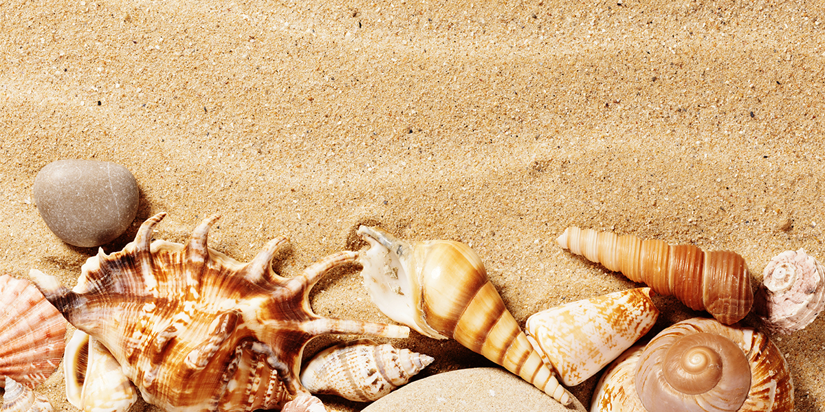 SUNCARE_eNews
